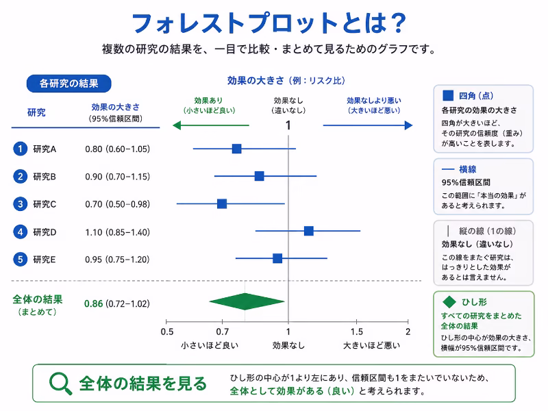 フォレストプロットの基本構造と見方を示した初心者向けの図解イラスト