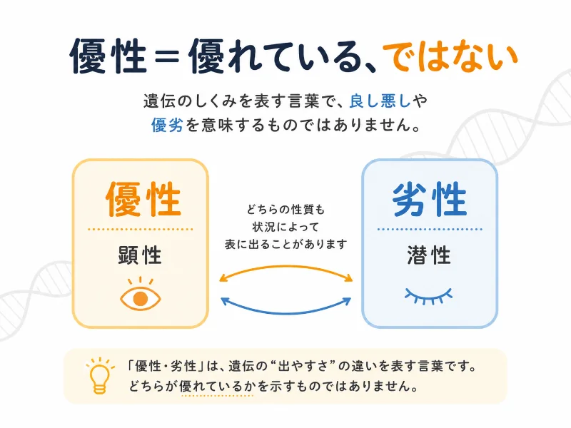 優性遺伝と劣性遺伝は優劣ではなく特徴の現れ方を表すことを示す図