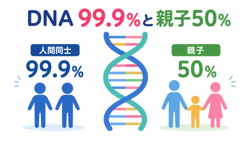 人間同士のDNAの99.9%一致と親子の50%共有の違いを表したフラットデザインのアイキャッチ画像