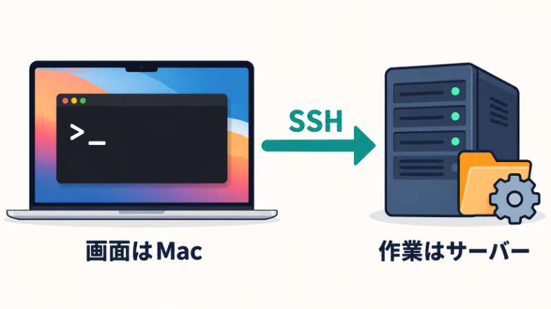 Macのターミナル画面からSSHでサーバーへ指示を出す図。画面を見る場所は手元のMacでも、接続後の作業はサーバー上で行われる。